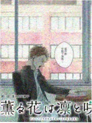 厨房革命 综艺在线播放